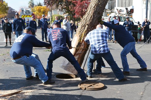 Every Christmas the Lemoore Volunteer Fire Department begins the holiday season with the delivery and placement of a downtown Christmas tree.